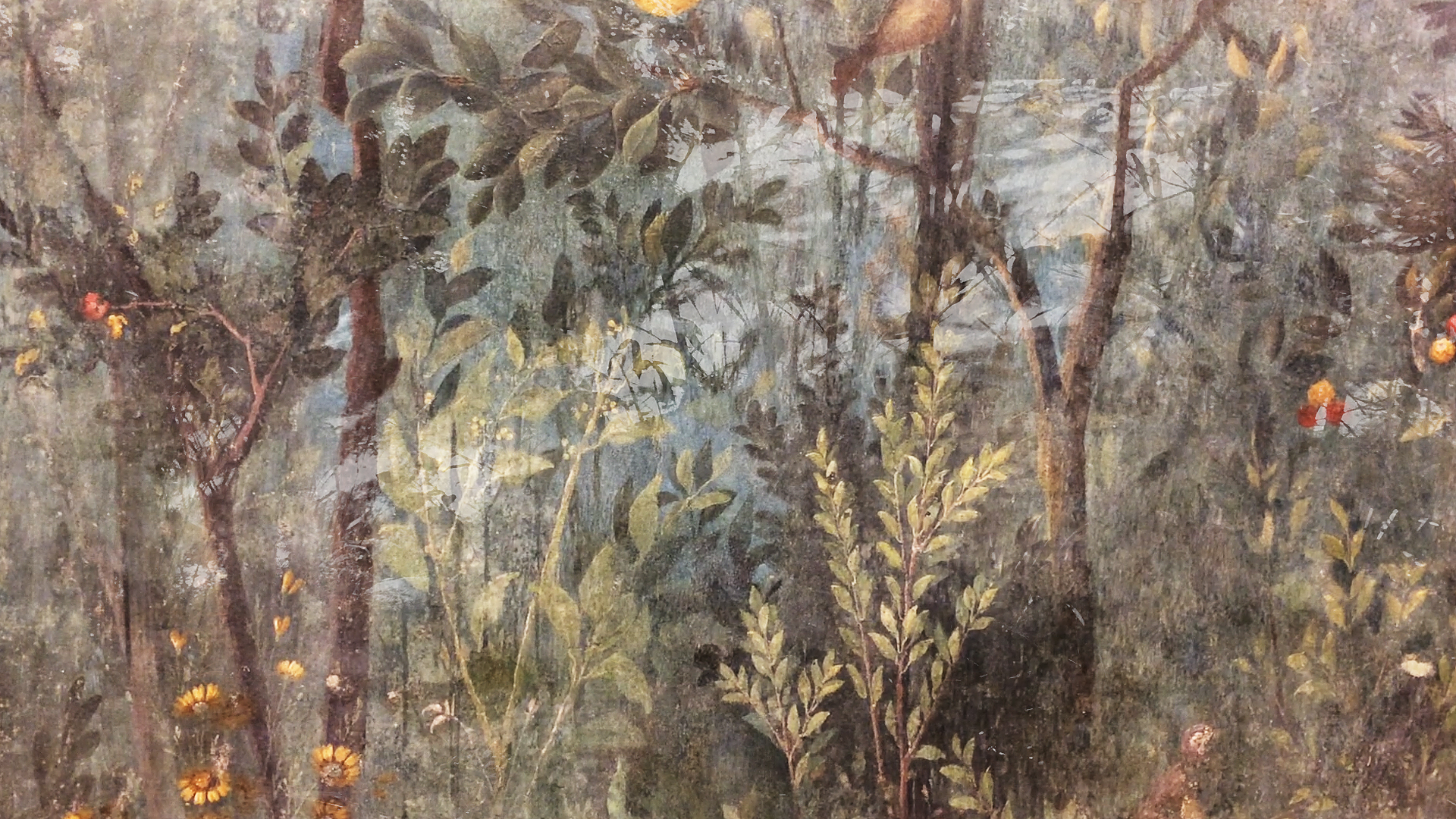 Videostill, PASSING THE GARDEN, 2019