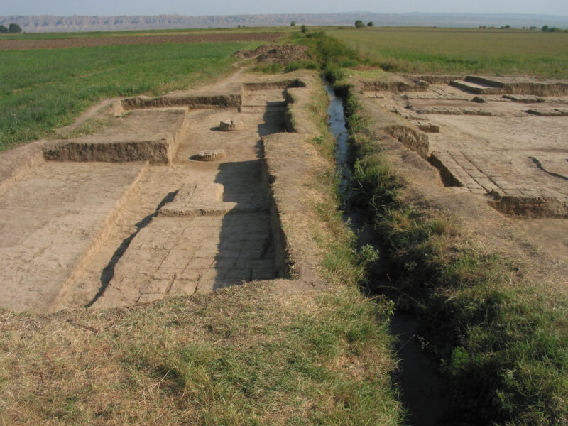 Ein moderner Bewässerungskanal stört den Befund im Westen des Propylons, förderte aber Fragmente von Basenfragmenten zutage, 2007 (Foto: A. Mehnert)